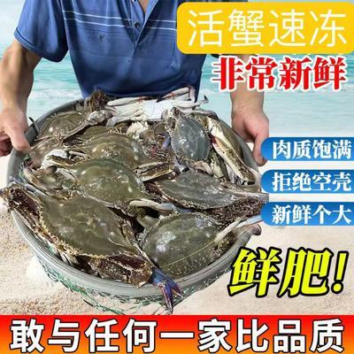 品质新货】梭子蟹鲜活新鲜冷冻特大海螃蟹公蟹母蟹二母蟹海鲜批发