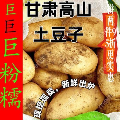 【定西精选】2024新鲜季节限定甘肃特产土豆整箱超值批发家志保证