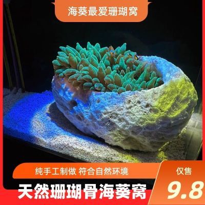 海葵窝巢奶嘴窝家杯海葵家地毯屋窝奶嘴杯容器防跑小丑鱼繁殖罐