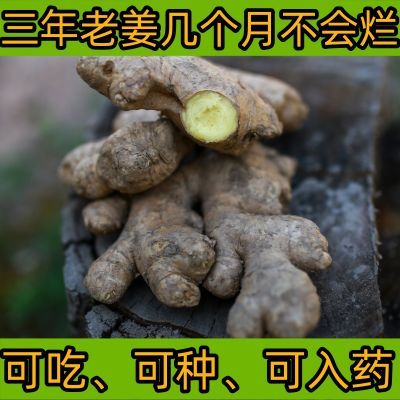 【越存越辣、越放越香】农村高山生姜三年姜食用老姜月子姜无农残