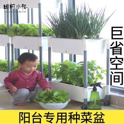 欧林泽阳台种菜盆室内蔬菜种植架懒人盆家庭种植箱顶楼神器草莓盆