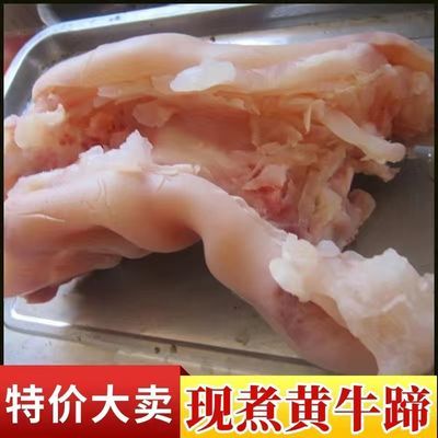 剔骨黄牛蹄皮正宗草饲牛蹄筋黄牛肉牛杂半熟黄牛脚新鲜牛筋一整箱