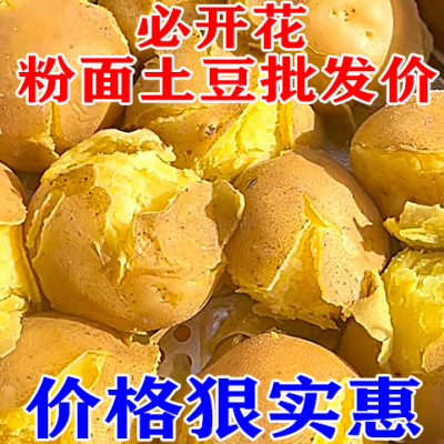 【正宗甘肃土豆】沙面土豆定西现挖马铃薯新货黄皮洋芋蔬菜黄心