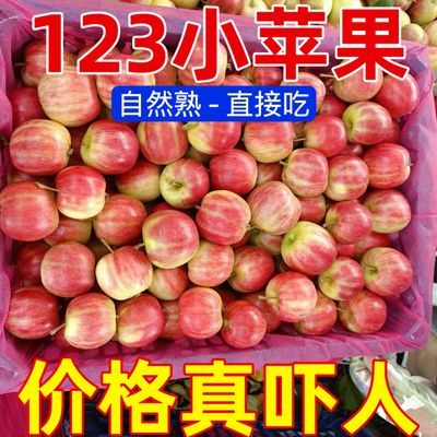 【爆脆多汁】拇指小苹果123小苹果当季孕妇水果酸甜大果10斤