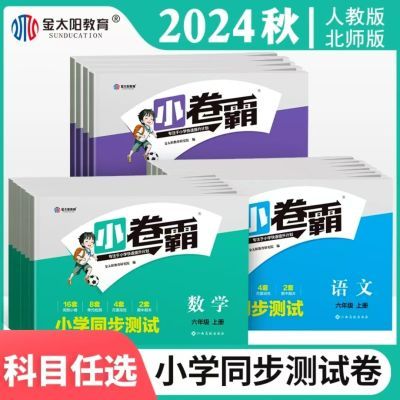 2024小学一二三四五六年级上册下册小卷霸同步测试卷语文数学英语