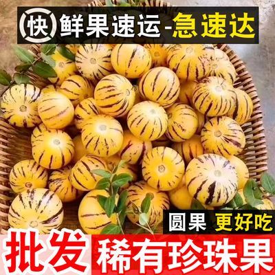 【批发价】云南石林人参果水果新鲜应季黄心圆果超甜大果整箱包邮