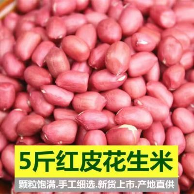 云南特产红皮花生米当季新货小粒生花生仁五谷杂粮红衣花生批发