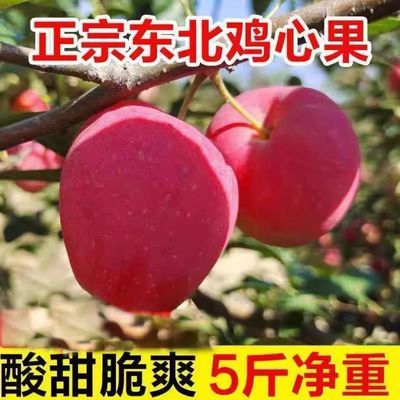 超低价正宗东北鸡心果孕妇小苹果秋果新鲜嘎啦糖心大果沙果酸甜