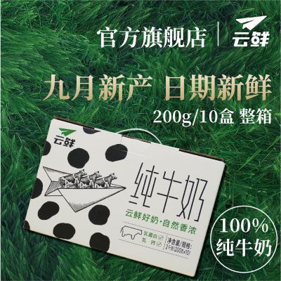 【国庆大促】9月产6.6g乳蛋白200mg钙每盒云鲜全脂纯牛奶整箱10盒