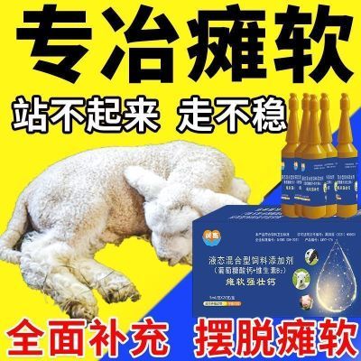 软瘫强壮钙羔羊犊牛站不起来软瘫灵兽用刚出生小羊羔补钙母羊瘫痪