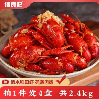 信良记2024新虾标号麻辣小龙虾600g*4盒装新鲜整虾加热即食蒜蓉