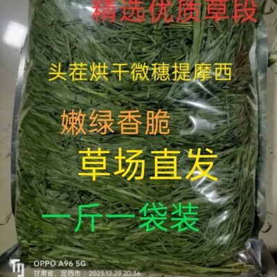 24年提摩西草烘干草微穗切段龙猫豚鼠荷兰猪兔子饲料北提牧草