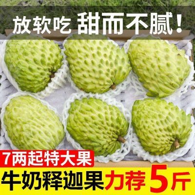 牛奶新鲜释迦果5斤当季热带水果大果番荔枝释迦佛头果1斤非台湾