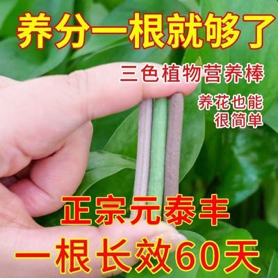 元泰丰植物缓释营养棒营养液养花家用室内阳台盆栽植物缓释棒新款