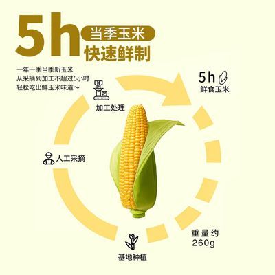 东北特产粘糯甜黄玉米真空包装新鲜水果玉米即食早餐粗粮非转基因