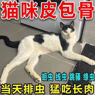 一片驱完虫专治猫猫皮包骨狗狗皮包骨太瘦调理长胖发腮增强免疫力