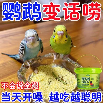 鹦鹉饲料专用食粮促开口学说话亲人补钙营养虎皮玄凤通用奖励零食