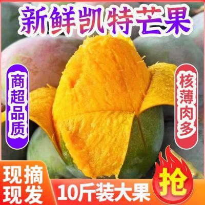 四川攀枝花凯特芒果特大果青皮大芒果巨无霸批发整箱5斤/10斤