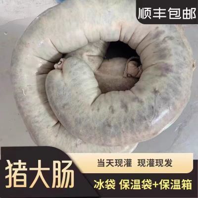 东北血肠东北酸菜新鲜正宗东北土特产血肠猪大肠酸菜真空顺丰包邮