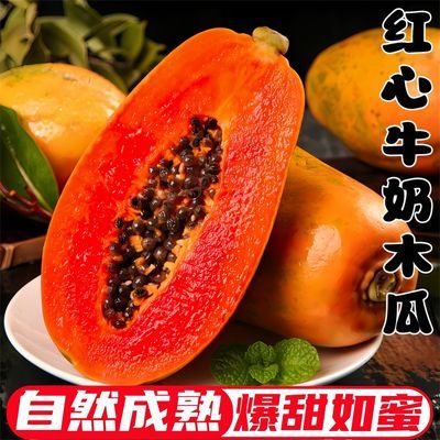 红心牛奶木瓜开胃整箱新鲜孕妇水果当季冰糖心青皮木瓜自然熟包邮