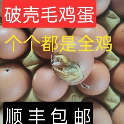 顺丰农家新鲜破壳毛蛋生毛蛋鸡胚蛋毛鸡蛋旺蛋喜蛋非活珠子凤凰蛋