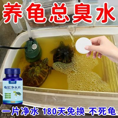 净水不死龟】乌龟水质净化剂净水剂杀菌清洁净化水质除臭液去腥臭