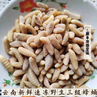 云南特产三级次蜂蛹新鲜野生冷冻马蜂葫芦峰蜂仁冰冻500g顺丰包邮