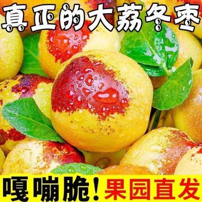 大荔冬枣现摘现发新鲜水果应季水果脆甜鲜枣大枣脆枣果园直发