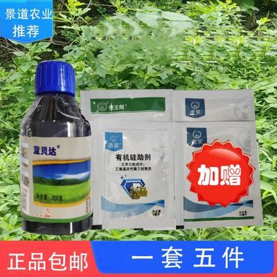 蓝灵达非耕地杂草专用强效