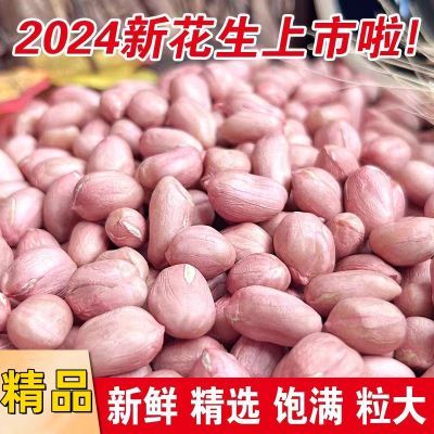 2024新鲜花生米大颗粒精品花生籽花生子仁去壳粉皮花生新货花