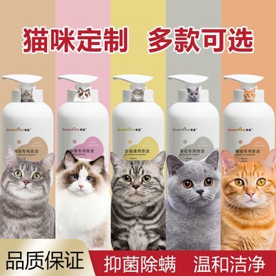 猫咪专用沐浴露杀菌杀螨去虱除蚤去黄英短布偶洗护二合一持久留香