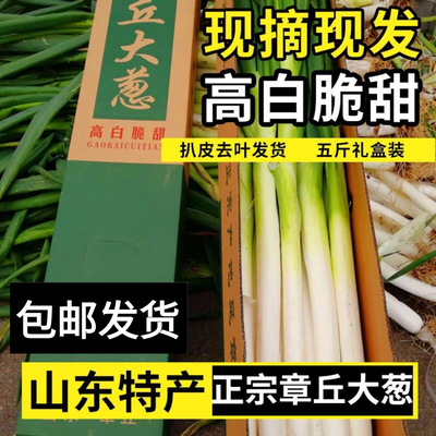 正宗山东章丘大葱当季新鲜现挖水果大葱蔬菜原产地直发5/9斤礼盒