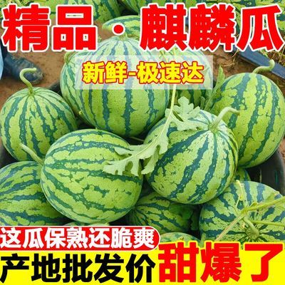 【爆甜】现摘麒麟西瓜超甜薄皮8424应季有籽西瓜水果新鲜批发整箱