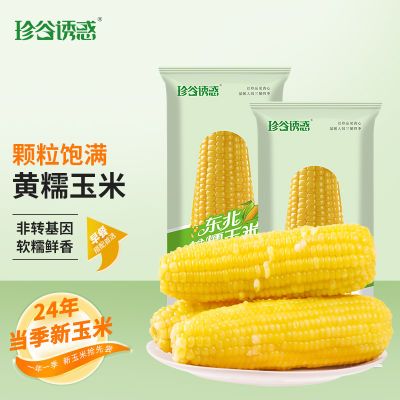 黄糯玉米10根糯9品种粘糯口感