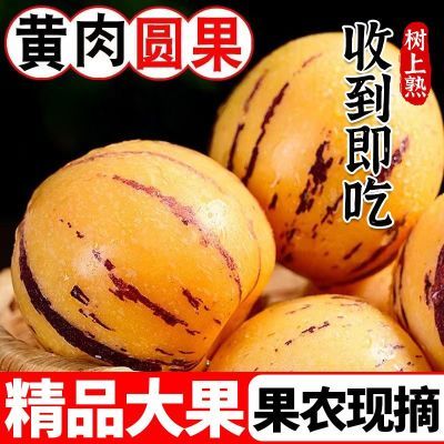 云南石林人参果黄肉圆果新鲜现摘应季水果树上熟超甜黄心大果批发