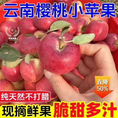 【新店半价】云南高山樱桃小苹果早熟红露苹果新鲜昭通丑苹果批发