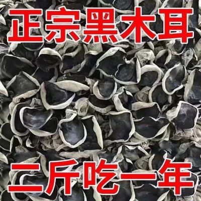 【新货】东北正宗野生黑木耳肉厚无根秋木耳农家土特产小碗耳干货