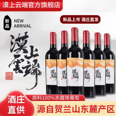 宁夏贺兰山东麓红酒原箱750ml*6瓶漠上云端100%赤霞珠