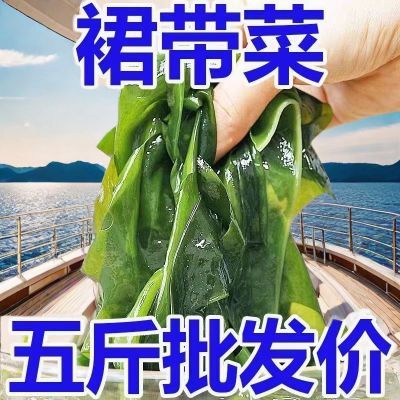 【5斤装裙带菜】海带苗海白菜火锅食材海菜海藻凉拌菜素食速食藻