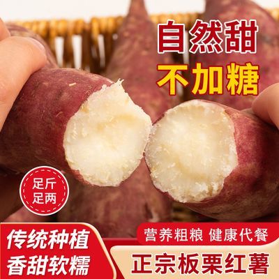 【板栗红薯】当季正品沙土红薯新鲜番薯地瓜白心红薯整箱 1/5斤