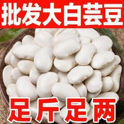 爆款特惠】白芸豆大白豆云南农家自种大白豆五谷杂粮粗粮煲汤批发