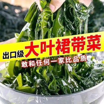 【5斤装裙带菜】海带苗海白菜火锅食材海菜海藻凉拌菜素食速食藻