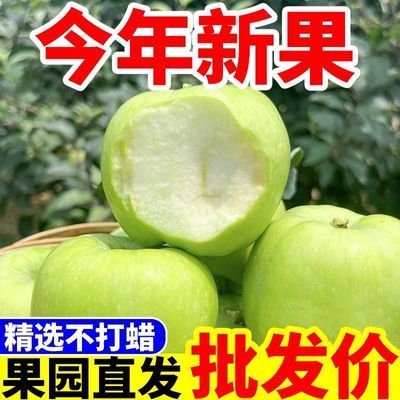 【现摘】青苹果水果新鲜脆甜酸苹果应季批发一整箱孕妇苹果非富士