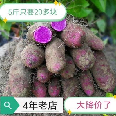 2024年现挖新鲜紫山药紫淮山脚板薯紫玉淮山紫大薯农家蔬菜种