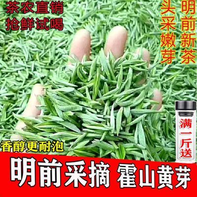 【2024新茶罐装】清明安徽霍山黄芽闷黄手工正宗黄大茶特级板栗香