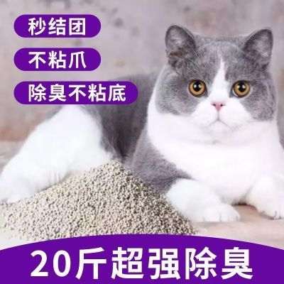 猫砂除臭清香型猫砂防臭粗颗粒除臭沙批发猫砂粗颗粒大粒狗狗9.