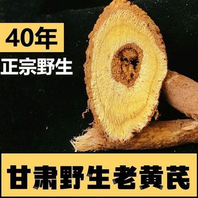 【野货】甘肃岷县野生黄芪大片特产级泡水喝正宗黄氏天然北芪真品