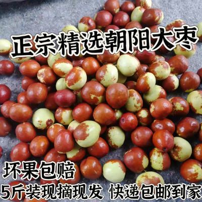 东北朝阳特产即食正宗朝阳孙家湾金铃大枣应季水果包邮现货薄皮