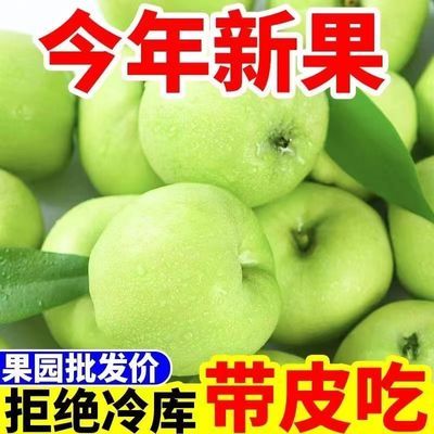 新鲜苹果现摘青苹果脆甜酸苹果应季批发一整箱孕妇苹果非红富士