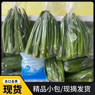 现摘秋葵精品小包酒店批发整箱包邮新鲜发货蔬菜水果秋葵鲜嫩脆甜